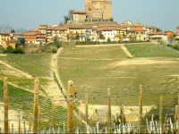 Agriturismo Rivetto 