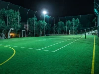 Hotel Delle More 4*