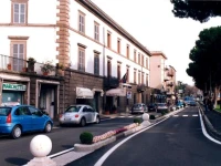 Nibbio 4*