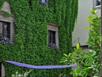 B&B Dei Papi Residenza DEpoca 