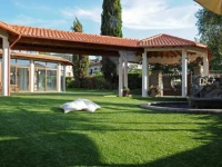 Canestro 4*