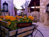 Avalon Traditional Village Houses 