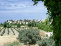 AlkioNest Hotel Apartments 3*