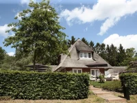 De Swarte Ruijter 4*