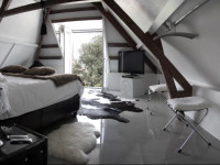 Paradise suite