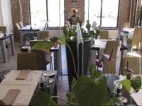 Hotel De Distel 4*