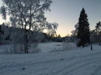 Vindfjelltunet Gjestegaard 
