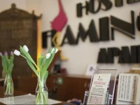 Hostel Flamingo 