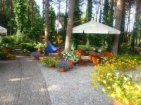 Villa Siesta 