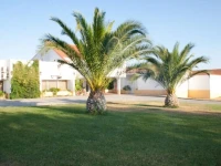 Varandas de Alter Hotel and Spa 3*
