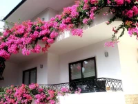 Dolce Cascais Guest House 