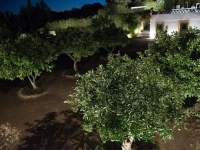 Quinta Da Espada 