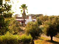 Monte Da Coelha - Alojamento Local 