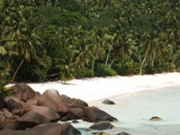 Silhuette Island Lodge 4*