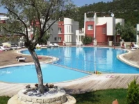 Olive Village Apartments 