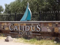 Calidus Hotel 