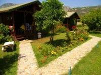 Armina Pension Cirali 