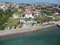 Mare 
