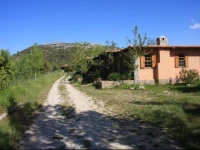 Blacktree Farm and Cottages 