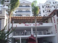 Narr 