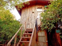 Bayrams Tree Houses 2*