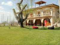 Sultan Pansion Bird Paradise