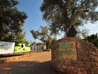 Greenlife Villas 