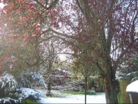 Aux Marguerites 1*