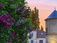 Auberge Du Colombier 2*
