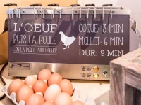 Ibis Saint Brieuc Yffiniac 3*