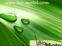 Bio-Motel 3*
