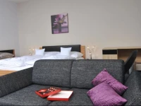 Pension Milk Inn 3*