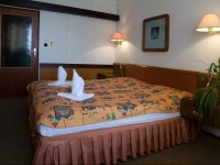 Amber Hotel Bavor 3*