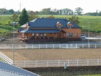Horse Riding 3*