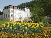 Centralni Lazne 3*