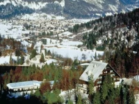 Bellevue Hotel Bohinj 3* 3*