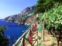 Dei Cavalieri 3*