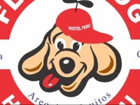 Flying Dog Hostel Iquitos 