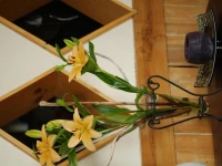 Casa Kalfu Hotel Boutique 3*