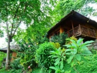 Froggies Divers Resort 