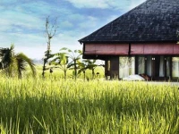Villa Bangkuang 
