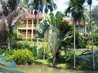 Deli River 3*