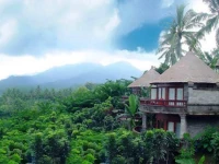 Taman Wana Villas & Spa 5*