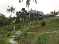 Dara Ayu Villas and Spa / Dara Ayu Villas 4*