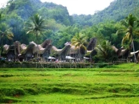 Toraja Misiliana Hotel 3*