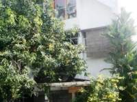 Da Rifi Hostel 