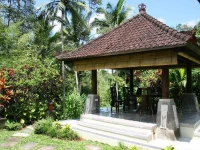 Suara Air Luxury Villa Ubud 4*