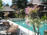 Ubud View Bungalows 3*