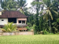 Dr. PhiloArt Villa Sawah 