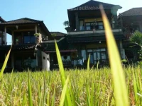 Kunang Kunang / Kunang Kunang Guest House 